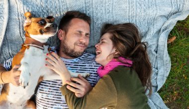 Hotel pet friendly no Rio de Janeiro: por que escolher espaços que aceitem seu animal de estimação?